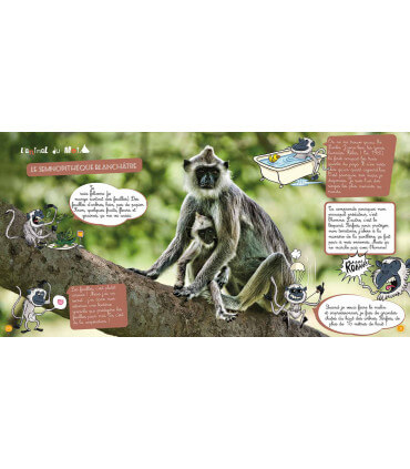 Voyage en famille au Sri Lanka | Magazine jeunesse Cram Cram en PDF