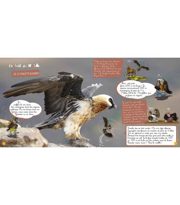 Voyage en famille au Yémen | Magazine jeunesse Cram Cram