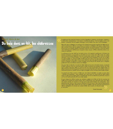 Voyage en famille aux Fidji | Magazine jeunesse Cram Cram en PDF