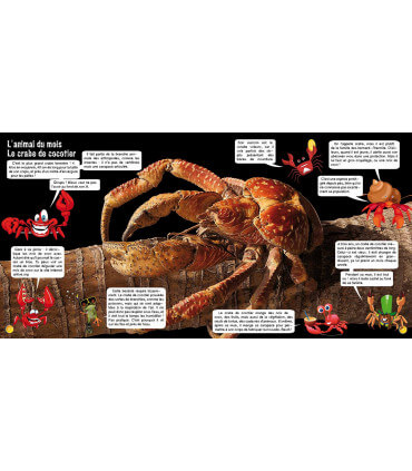 Voyage en famille en Océan Indien | Magazine jeunesse Cram Cram en PDF