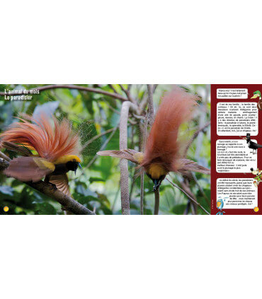 Voyage en famille en Papouasie | Magazine jeunesse Cram Cram