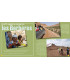 Voyage en famille au Maroc | Magazine jeunesse Cram Cram en PDF