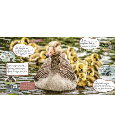 Voyage aux Pays-Bas | Magazine jeunesse Cram Cram en PDF