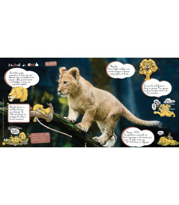 Voyage en famille en Éthiopie | Magazine jeunesse Cram Cram en PDF