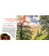 Voyage en famille au Liban | Magazine jeunesse Cram Cram en PDF