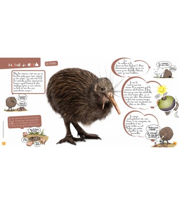 Voyage en famille en Nouvelle-Zélande | Magazine jeunesse Cram Cram en PDF