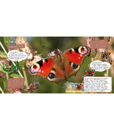 Voyage chez un enfant maraîcher | Magazine jeunesse Cram Cram en PDF