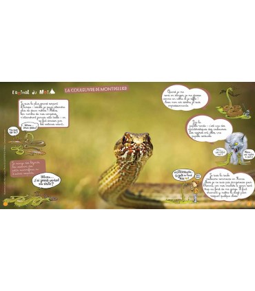 Voyage en famille sur le chemin de Stevenson | Magazine jeunesse Cram Cram en PDF