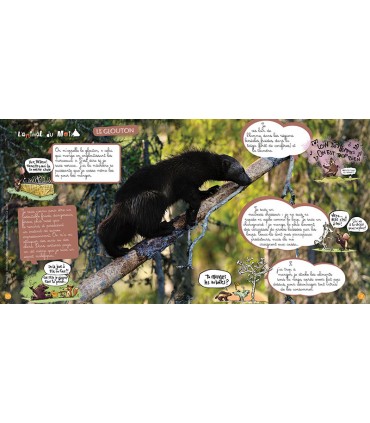 Voyage en famille en Suède | Magazine jeunesse Cram Cram