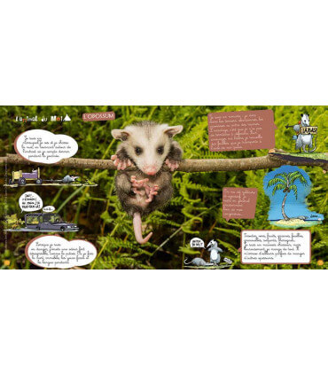 Voyage en famille à vélo en Amérique Latine | Magazine jeunesse Cram Cram