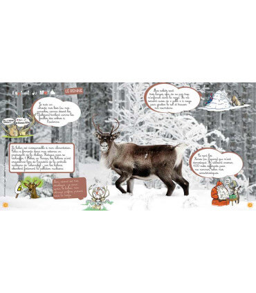 Voyage en famille en Laponie | Magazine jeunesse Cram Cram