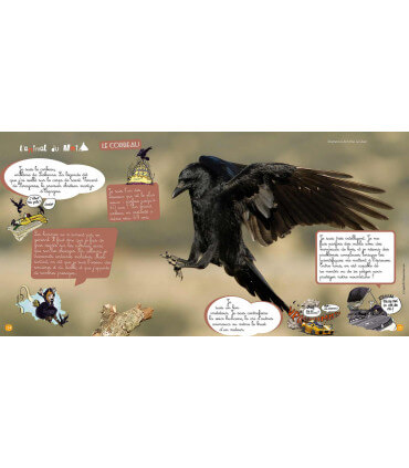 Voyage en famille à Lisbonne | Magazine jeunesse Cram Cram