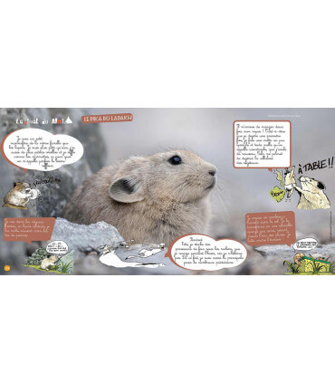 Voyage en famille au Ladakh | Magazine jeunesse Cram Cram