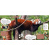 Voyage en famille au Birmanie | Magazine jeunesse Cram Cram