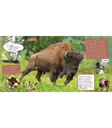 Voyage en famille aux États-Unis | Magazine jeunesse Cram Cram