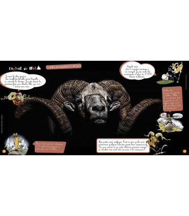 Voyage en famille au Kirghizistan | Magazine jeunesse Cram Cram en PDF