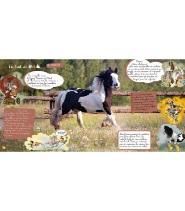 Voyage en famille en Irlande | Magazine jeunesse Cram Cram