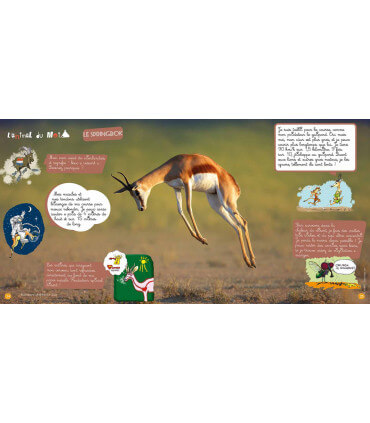 Voyage en famille en Afrique du Sud | Magazine jeunesse Cram Cram en PDF