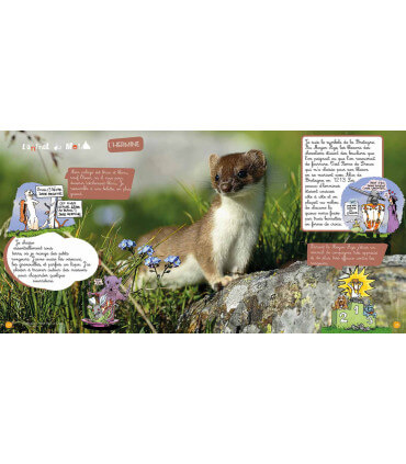 Voyage en famille en Bretagne, à vélo | Magazine jeunesse Cram Cram