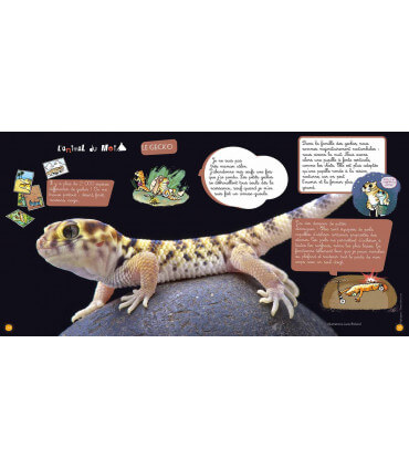 Voyage en famille en Iran | Magazine jeunesse Cram Cram en PDF