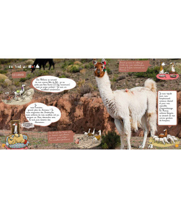 Voyage en famille au Chili | Magazine jeunesse Cram Cram