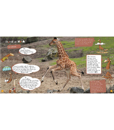 Voyage en famille au Sénégal | Magazine jeunesse Cram Cram en PDF