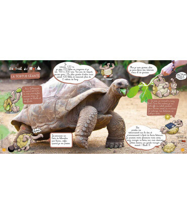 Voyage en famille aux Galapagos | Magazine jeunesse Cram Cram