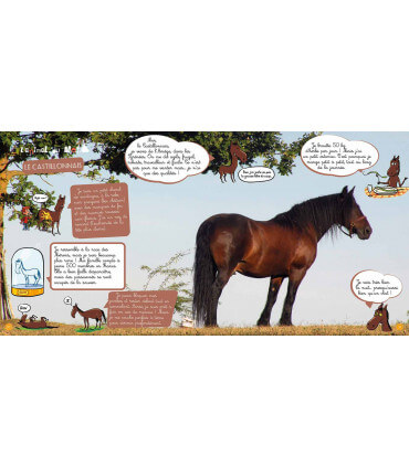 Voyage en famille en Occitanie | Magazine jeunesse Cram Cram en PDF