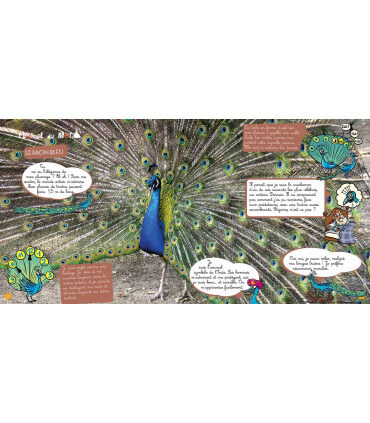 Voyage en famille au Rajasthan | Magazine jeunesse Cram Cram en PDF